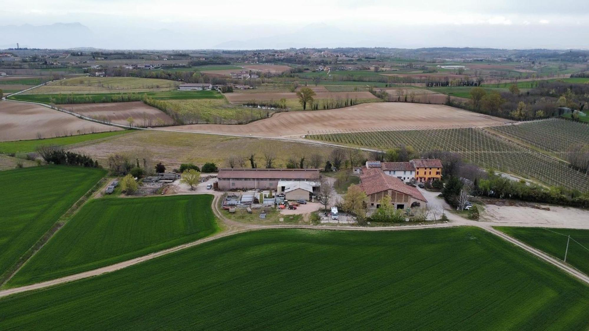 Agriturismo Con Cucina Tipica Nuova Scardua Cavriana Exterior photo